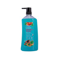 Hawaiian Dream Body Wash